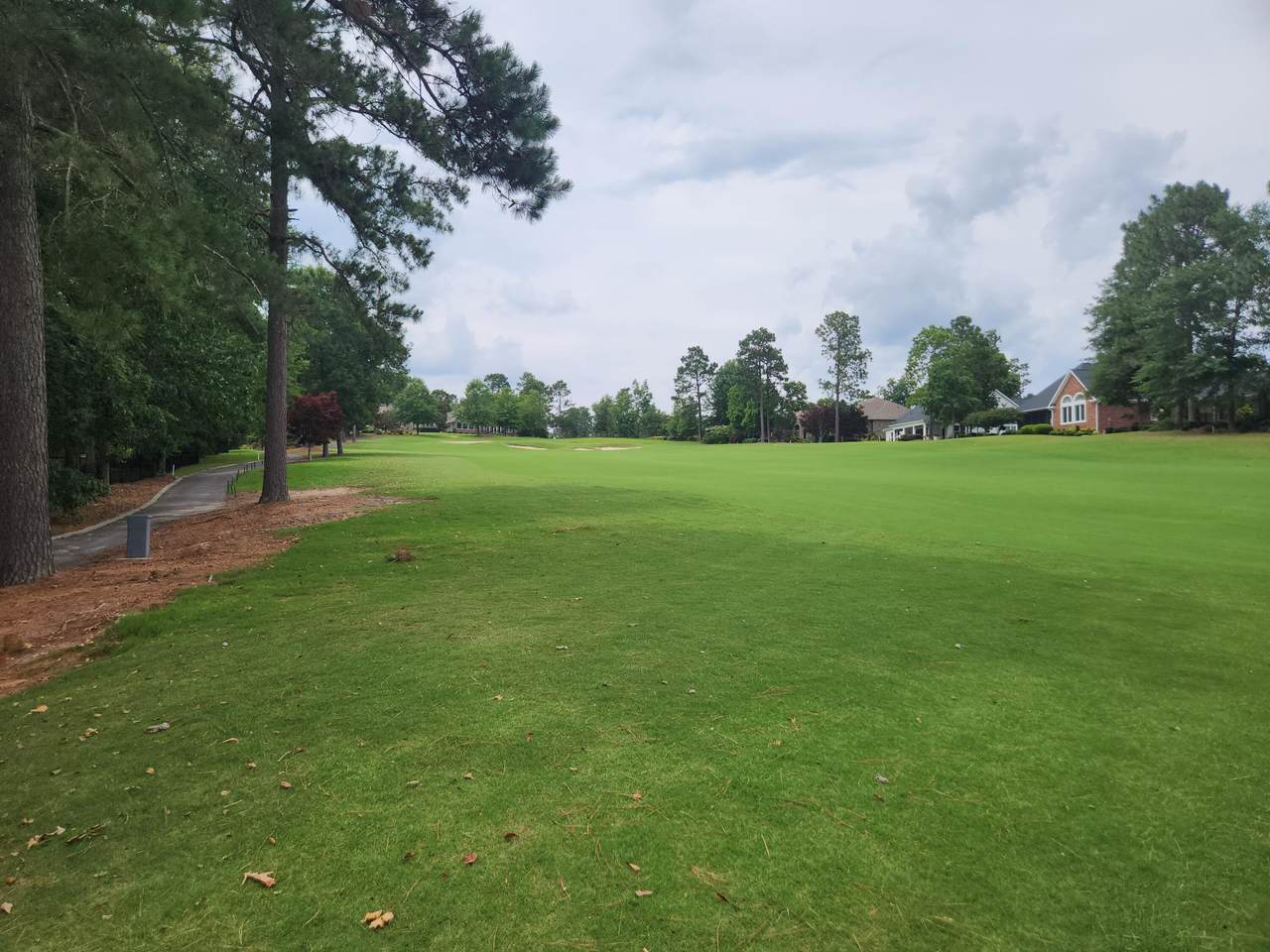 Lot 170 West Pleasant Colony Drive - Photo 1