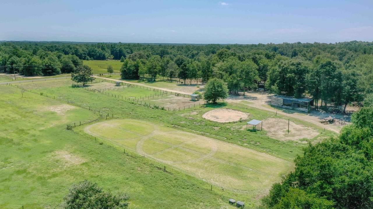 301 Ernest Johnson Road - Photo 1