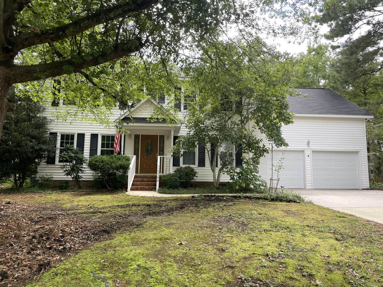 1199 Willow Woods Drive - Photo 1