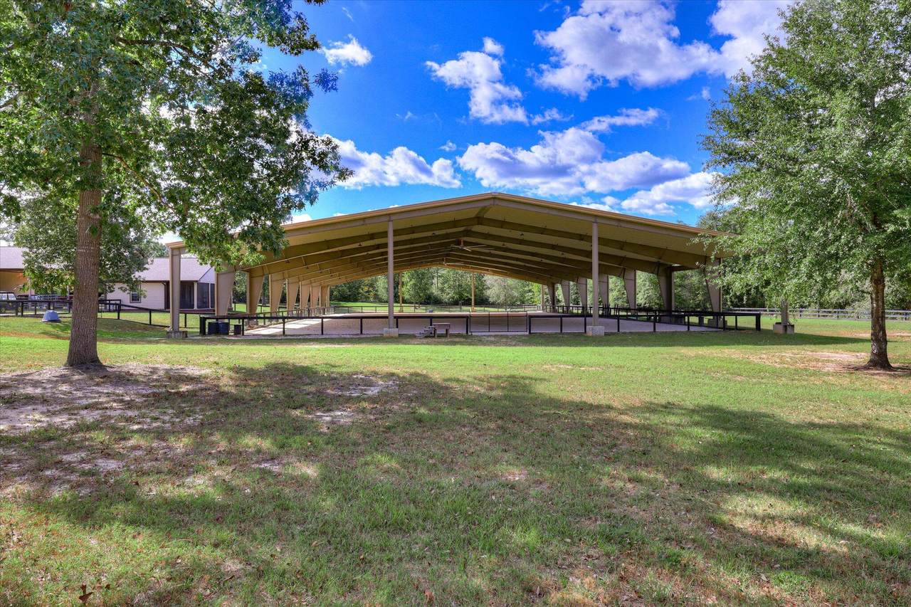 131 Filly Drive - Photo 1