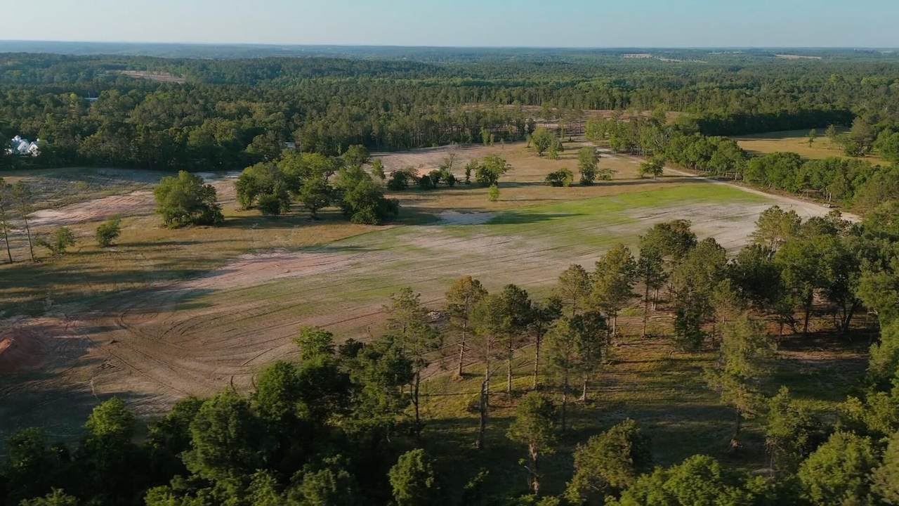 65 Acres Wagener Road - Photo 1