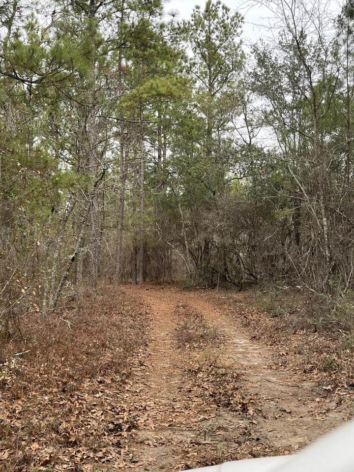 000 Old Country Road Road - Photo 1