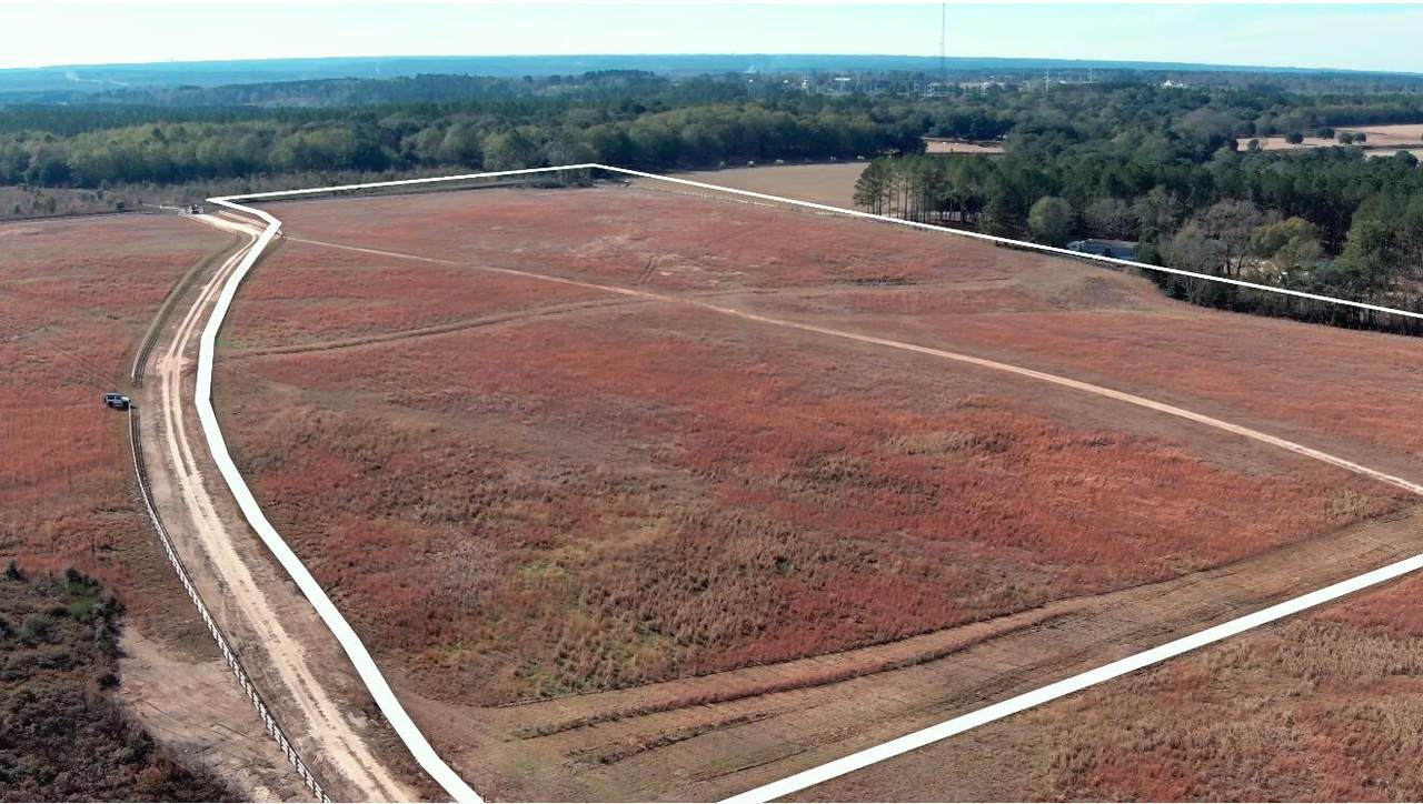 1474 Shaws Fork Road - Photo 1