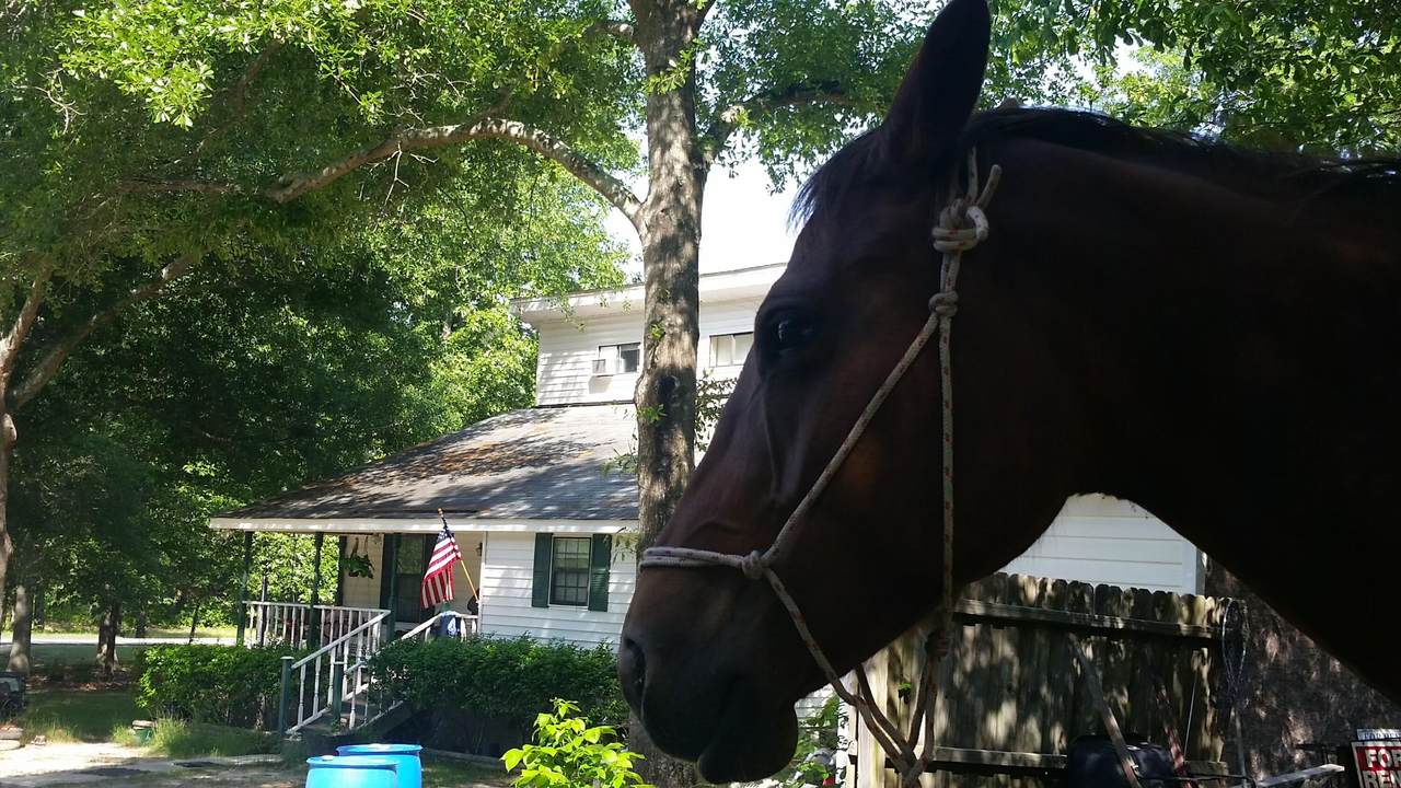 331 Glenwood Drive - Photo 1