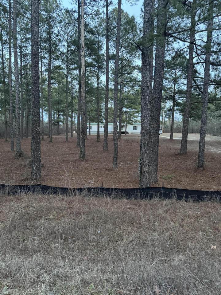 2195 Joyner Pond Road - Photo 1