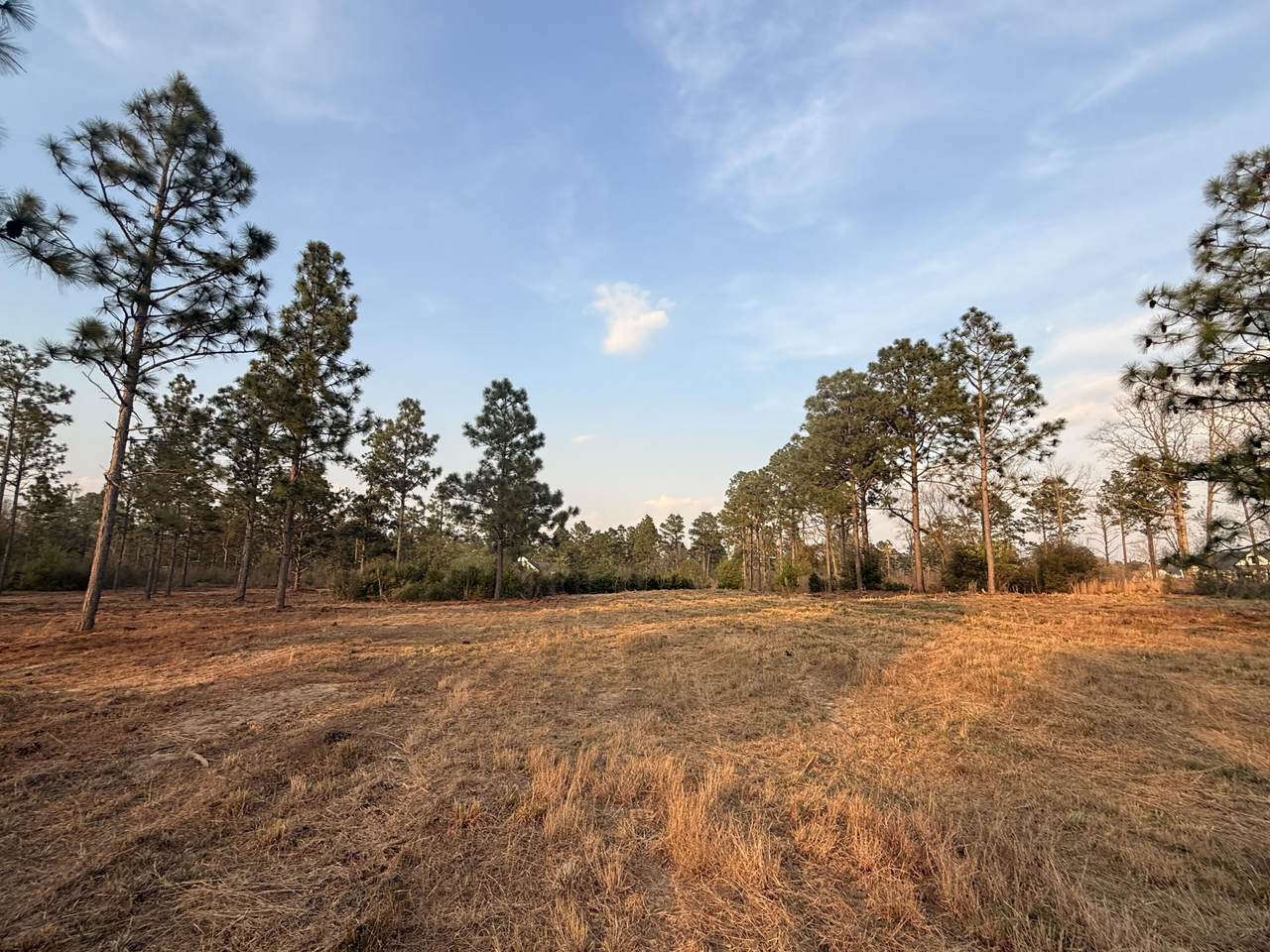 734 State Park Road - Photo 1