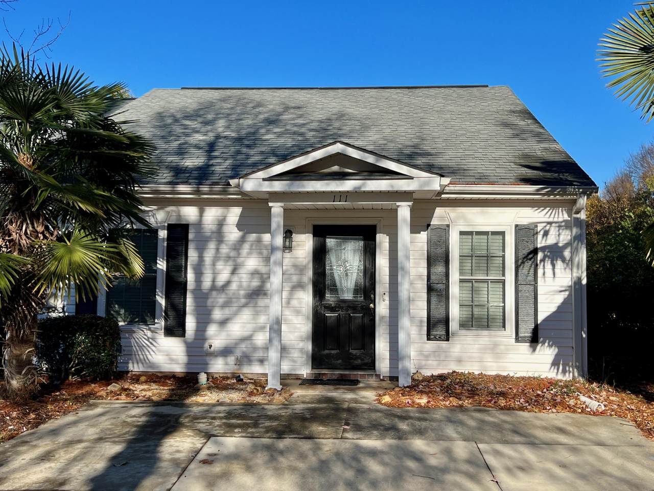 111 Bennington Lane - Photo 1