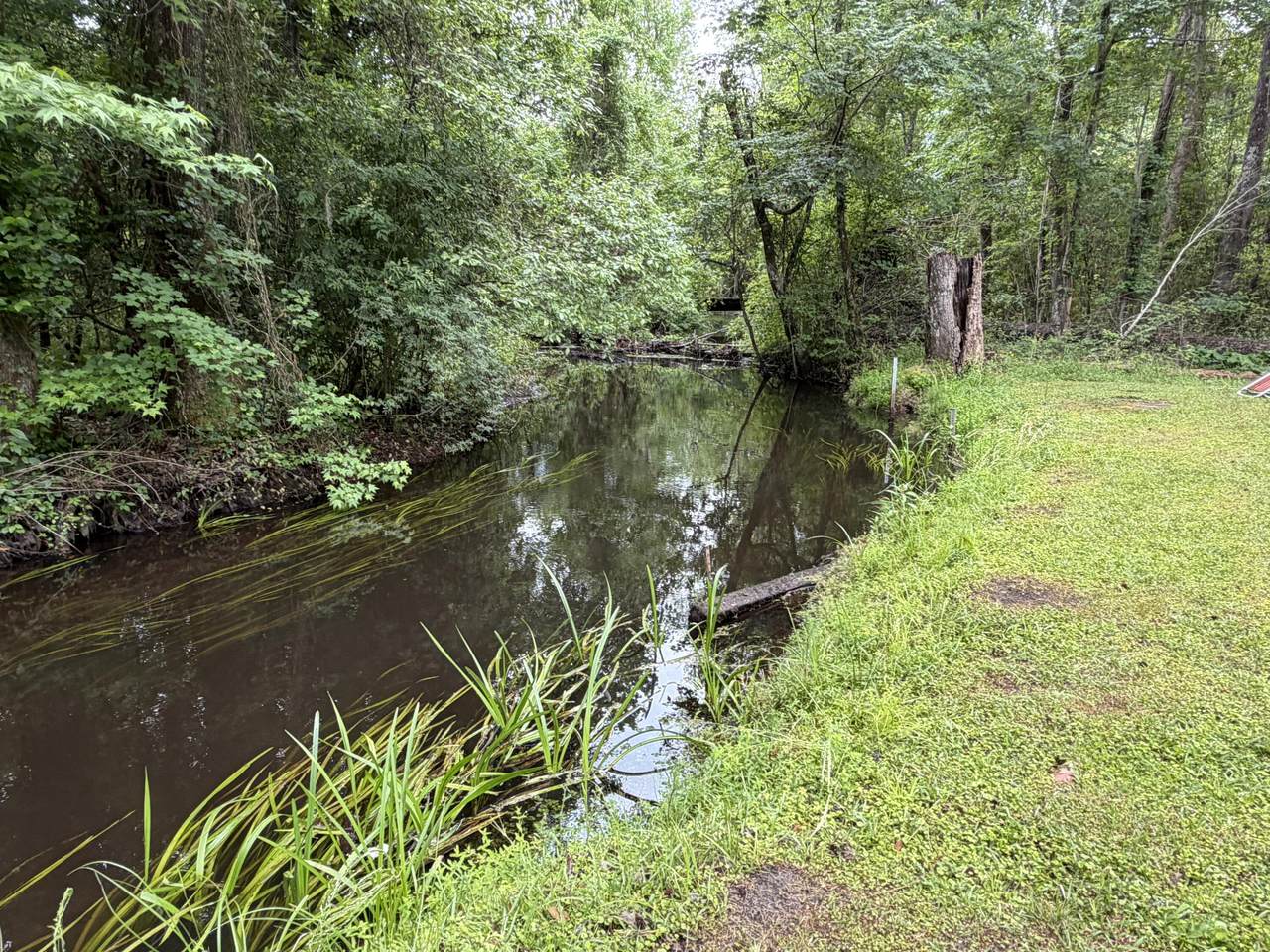 209 Verdi Lane - Photo 1
