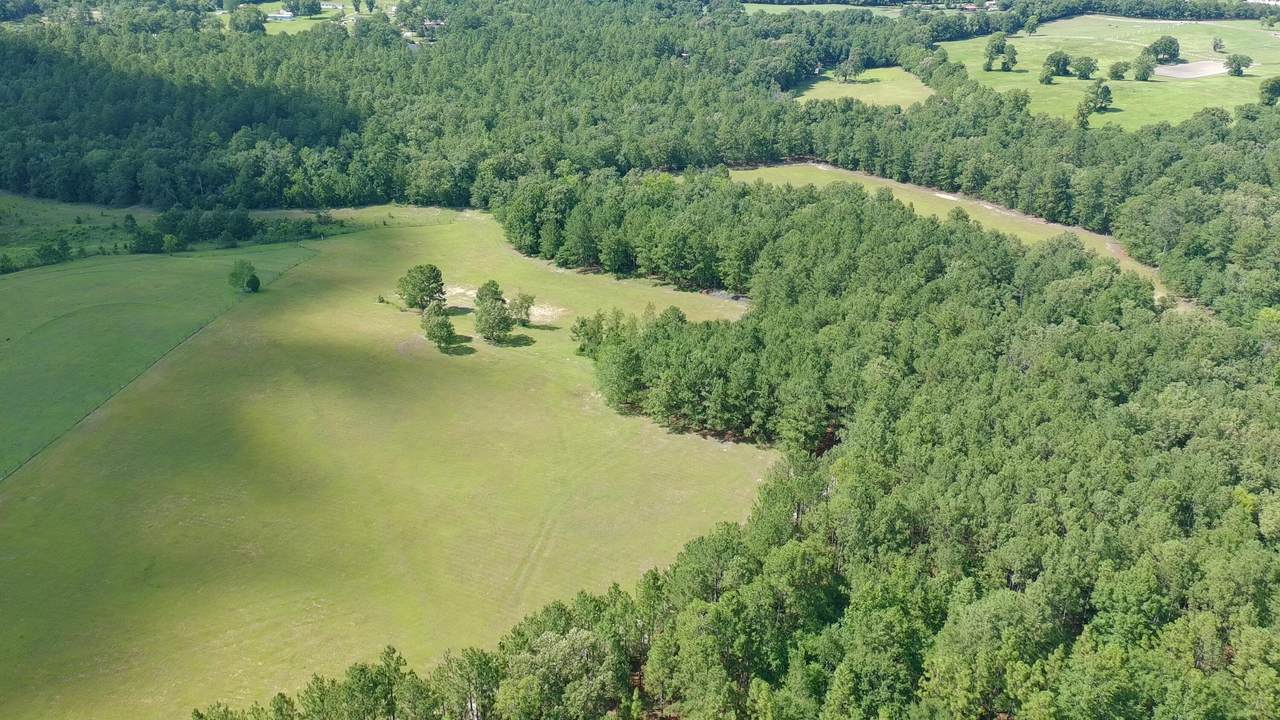 41 Acres Whiskey Road - Photo 1