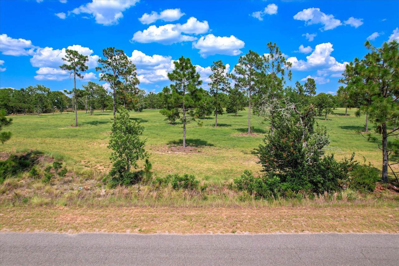 1150 Bethcar Church Road - Photo 1