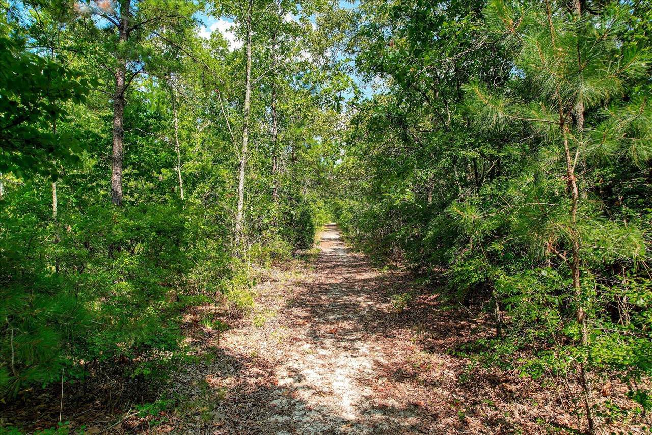 https://bt-photos.global.ssl.fastly.net/aiken2/1280_boomver_1_224406-2.jpg