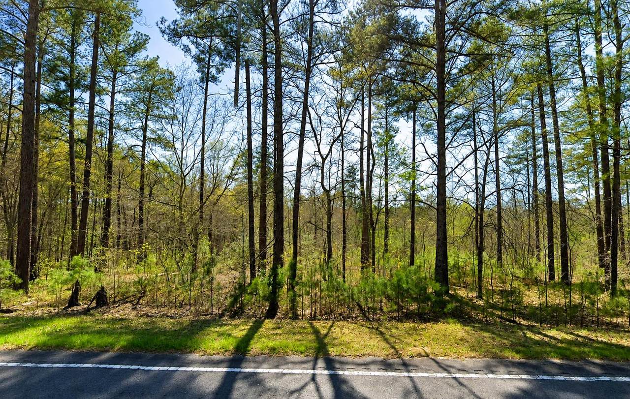 Tbd Banks Mill Road - Photo 1