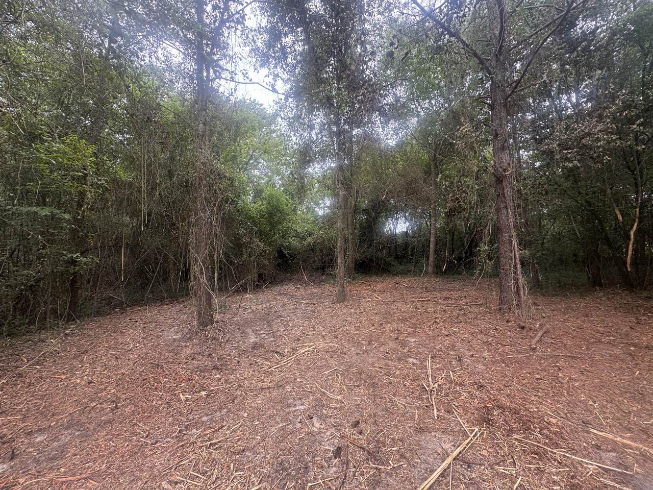 https://bt-photos.global.ssl.fastly.net/aiken2/1280_boomver_1_225346-2.jpg