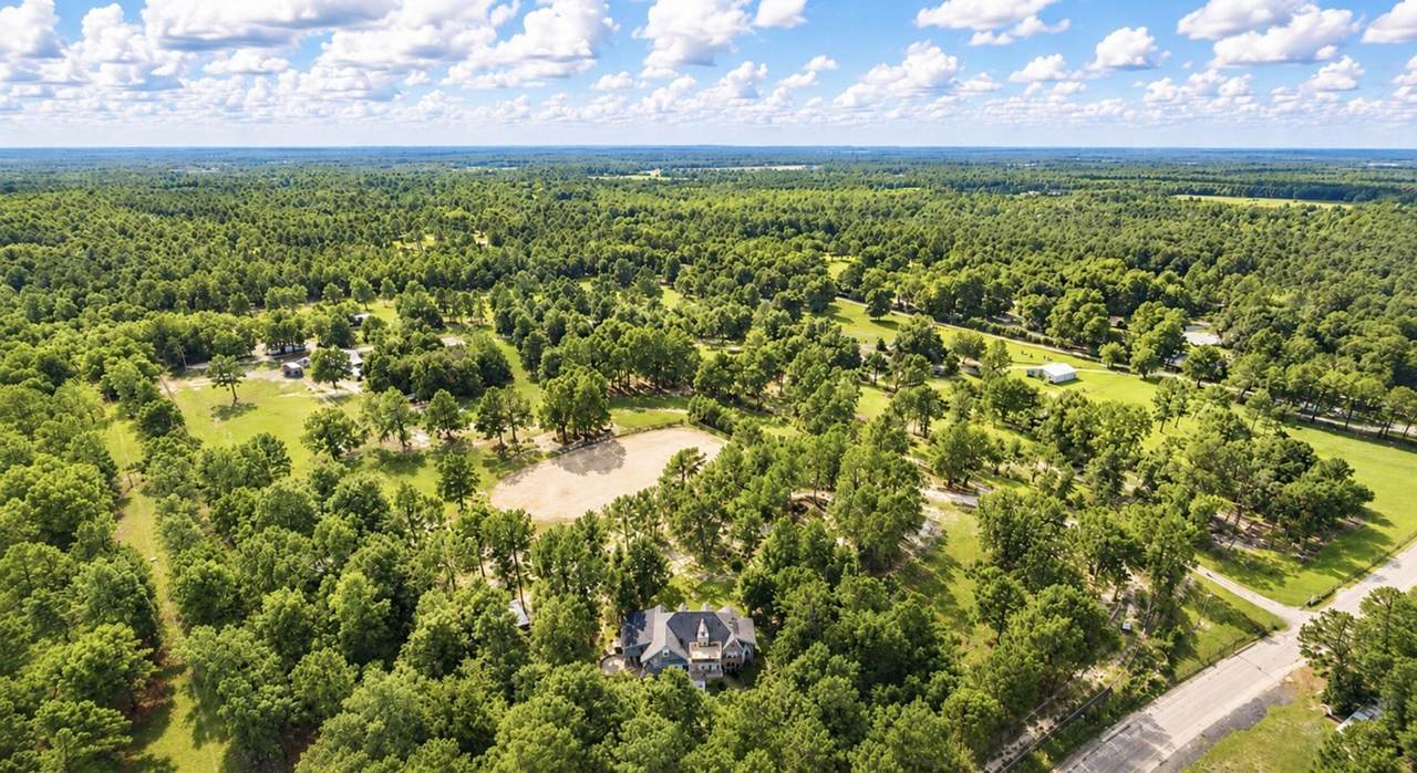 1377 Pine Road - Photo 1