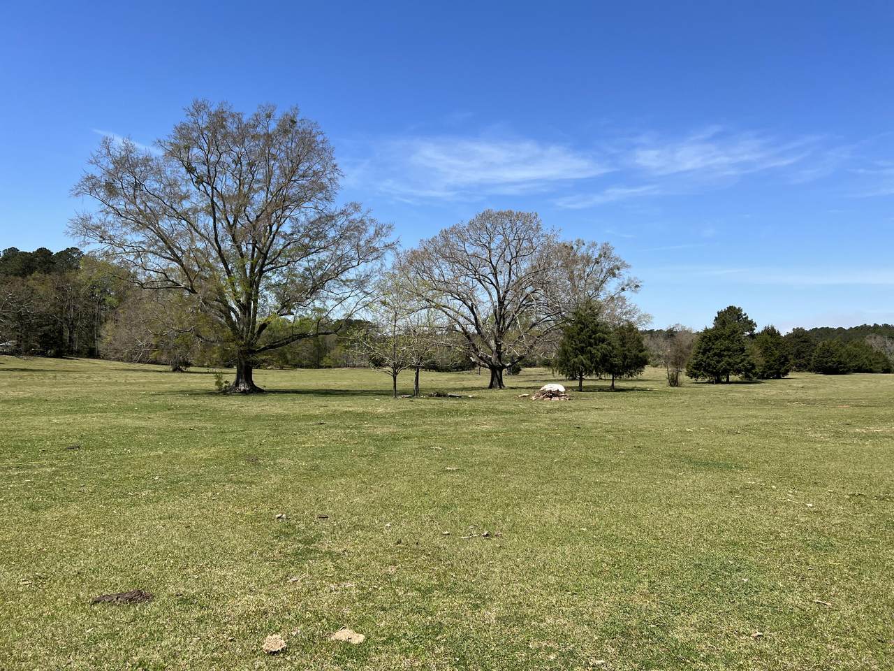 6505 Lincolnton Road - Photo 1