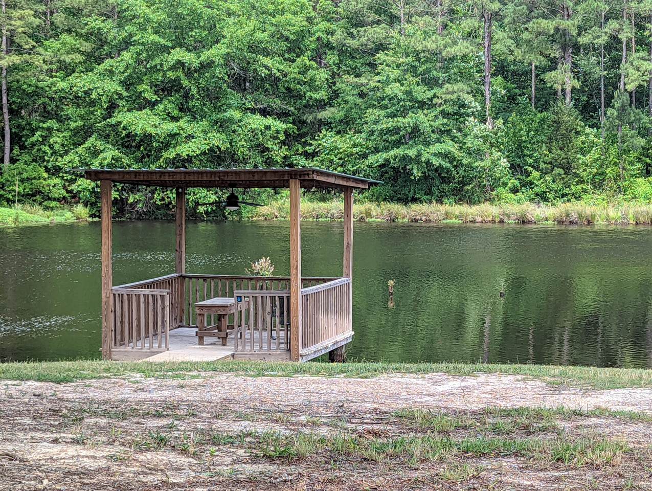 215 Lanier Road - Photo 1