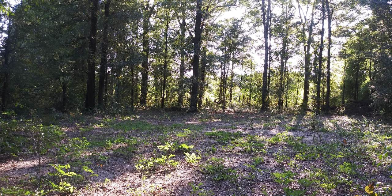 00 Bailey Circle - Photo 1