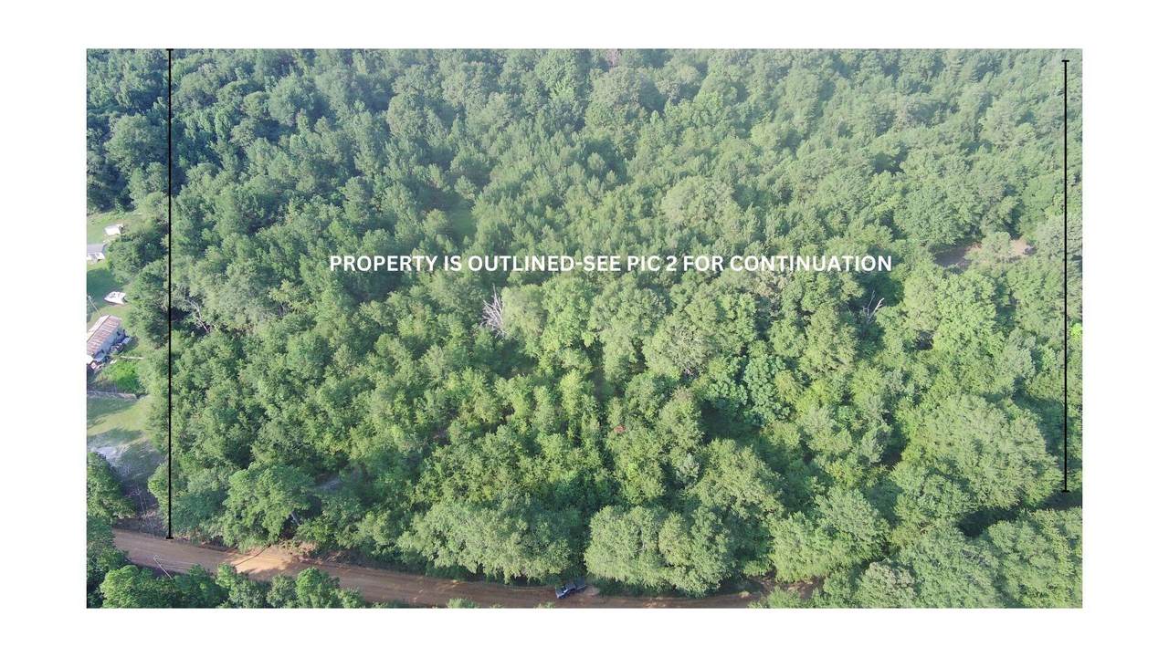 229 Bird Dog Road - Photo 1