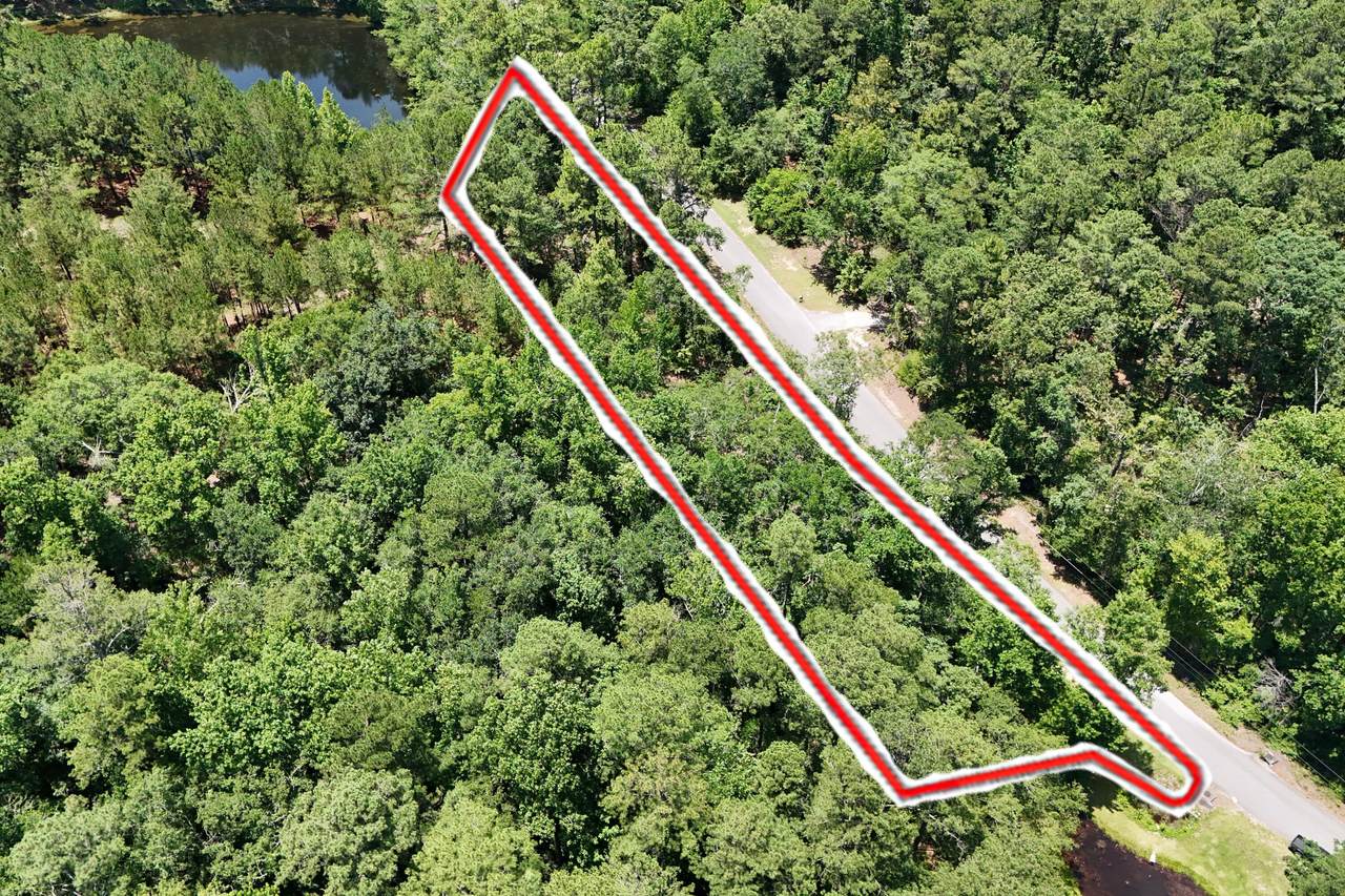 000 Sudlow Lane - Photo 1