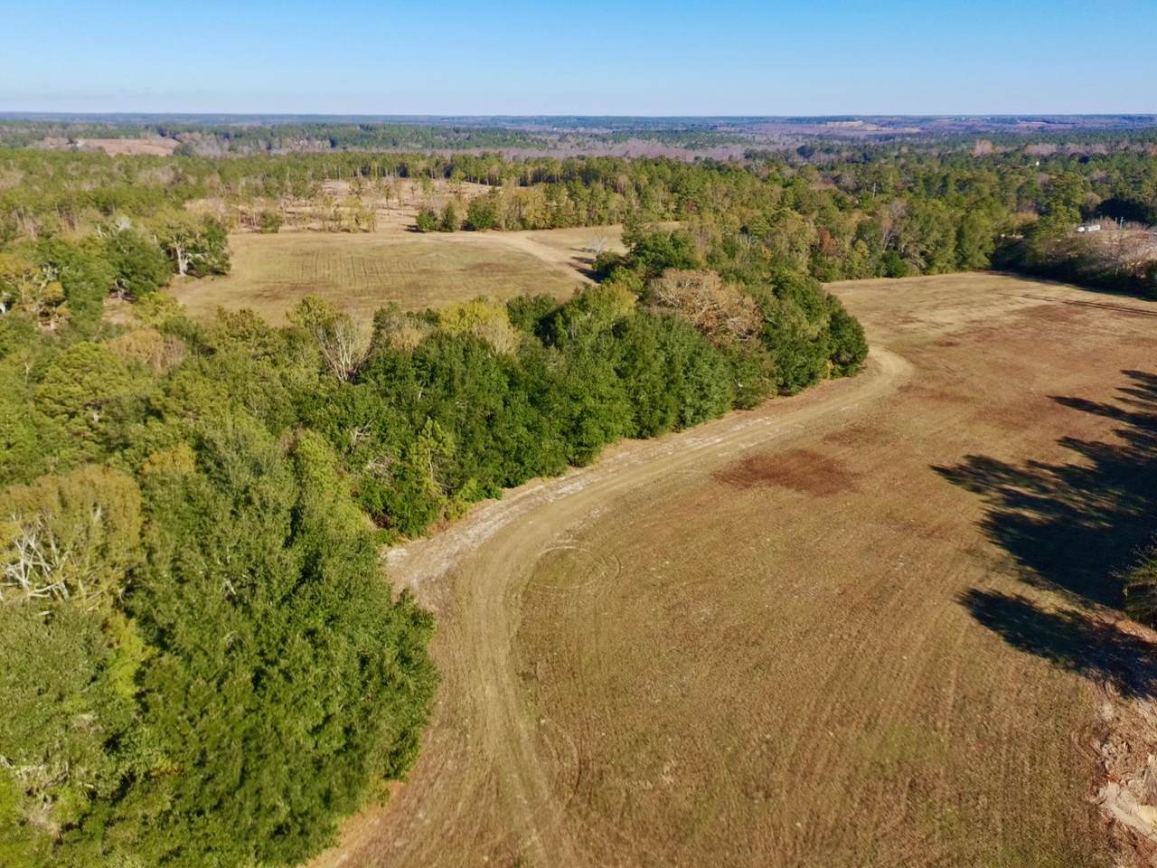 77 Acres Wagener Road - Photo 1