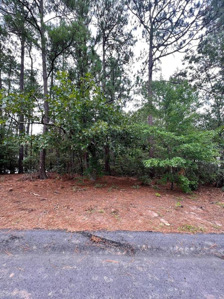 2666 Ramblewood Road - Photo 1