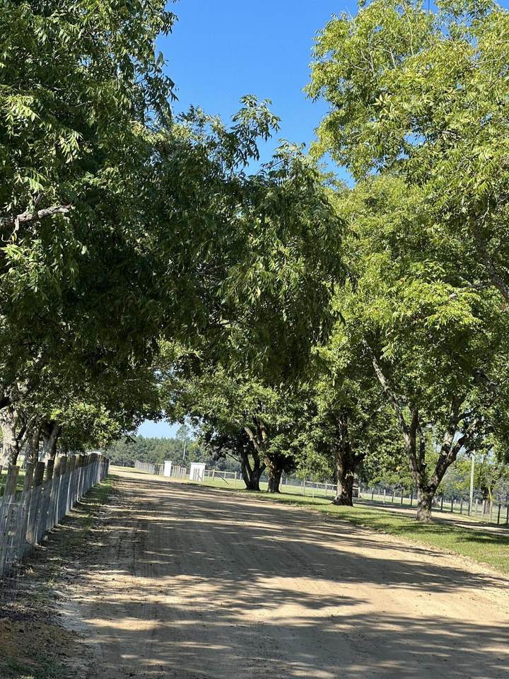 Lot 1 Batavia Way - Photo 1