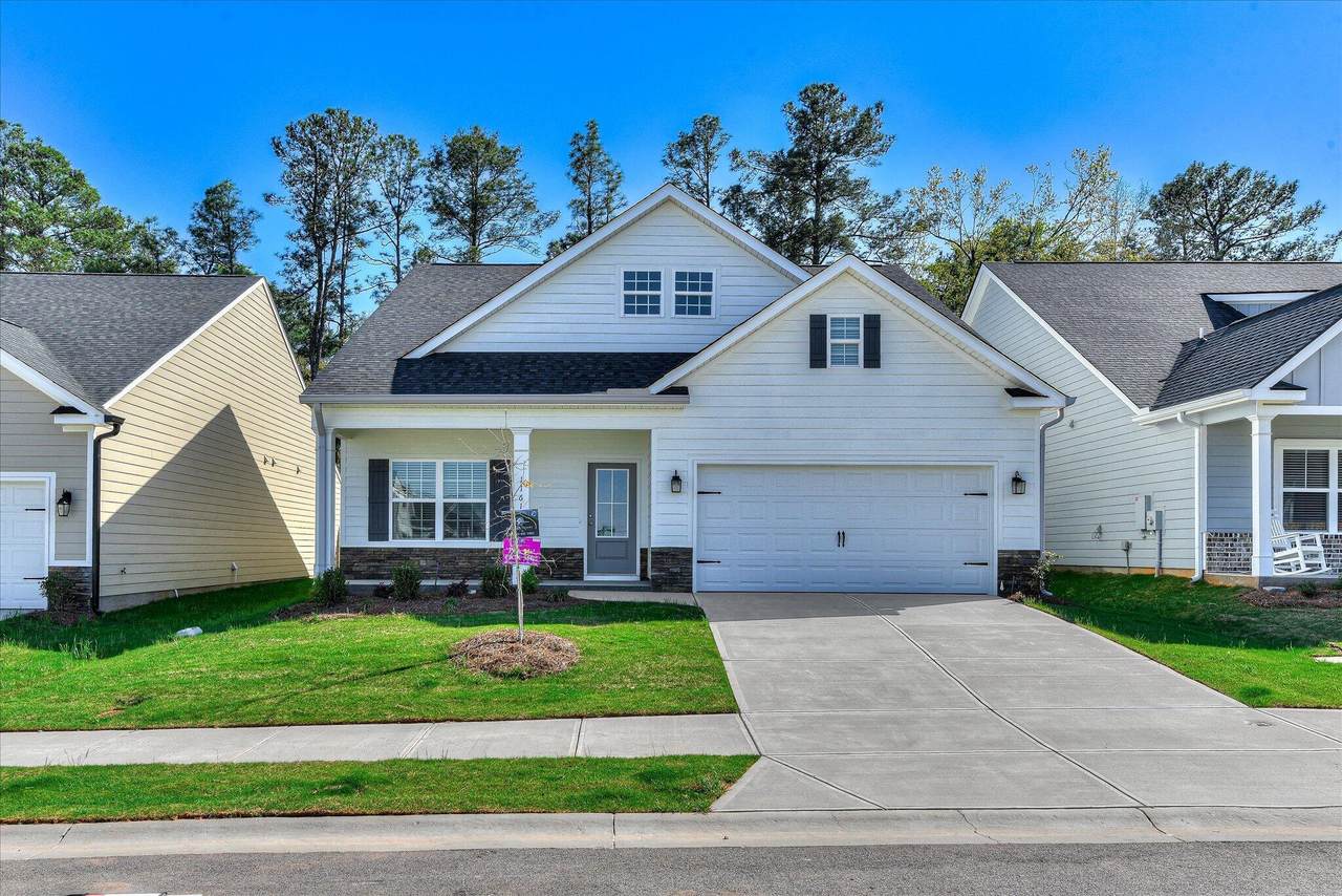 1161 Speckled Teal - Photo 1