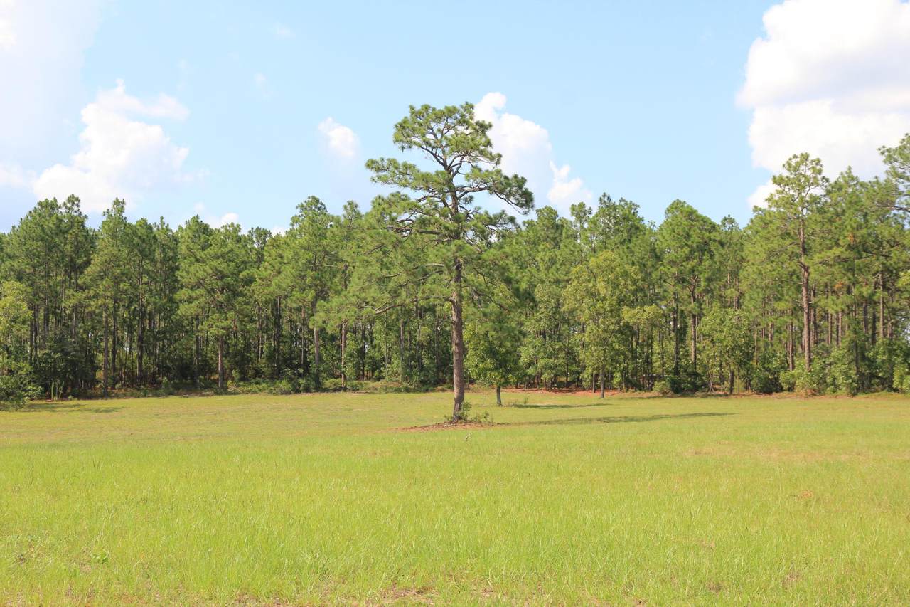 Lot 3 Woods End Way - Photo 1