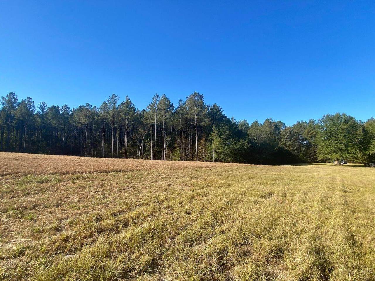 Lot 19 Carillon Court - Photo 1