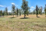 828 Old Barnwell Road - Photo 26