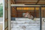 1792 Appleton Road - Photo 64