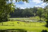 897 Edisto Lake Road - Photo 33