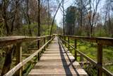 313 Burgamy Way - Photo 43