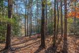 491 Shealy Pond Road - Photo 11