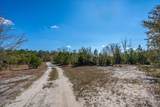 491 Shealy Pond Road - Photo 4