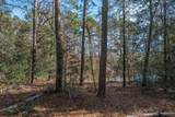 491 Shealy Pond Road - Photo 9