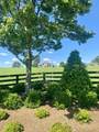 114 Larkspur Road - Photo 91