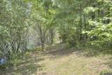 541 Big Branch Lane - Photo 7