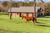 119 Lam Lane - Photo 22