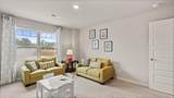 2245 Chromite Drive - Photo 78
