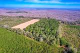 1114 Lott Bluff Road - Photo 78