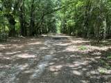 1114 Lott Bluff Road - Photo 85