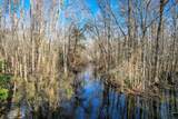 1114 Lott Bluff Road - Photo 9