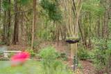 213 Birch Tree Circle - Photo 40