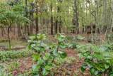 213 Birch Tree Circle - Photo 44