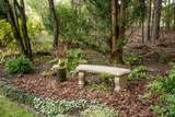 213 Birch Tree Circle - Photo 45