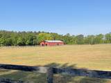 103 New Holland Road - Photo 6