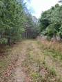 5924 Wagener Road - Photo 39