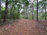 5924 Wagener Road - Photo 40