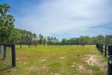 2049 Silver Bluff Road - Photo 75